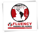 fluency dolmuş reklamları
